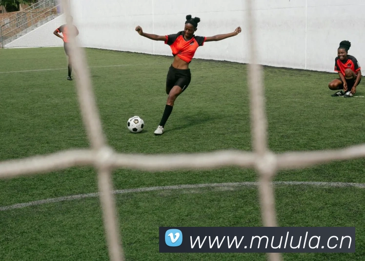 mk体育官方网平台生态图