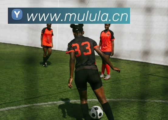 mk体育官方网全站App mk体育官方网全站App