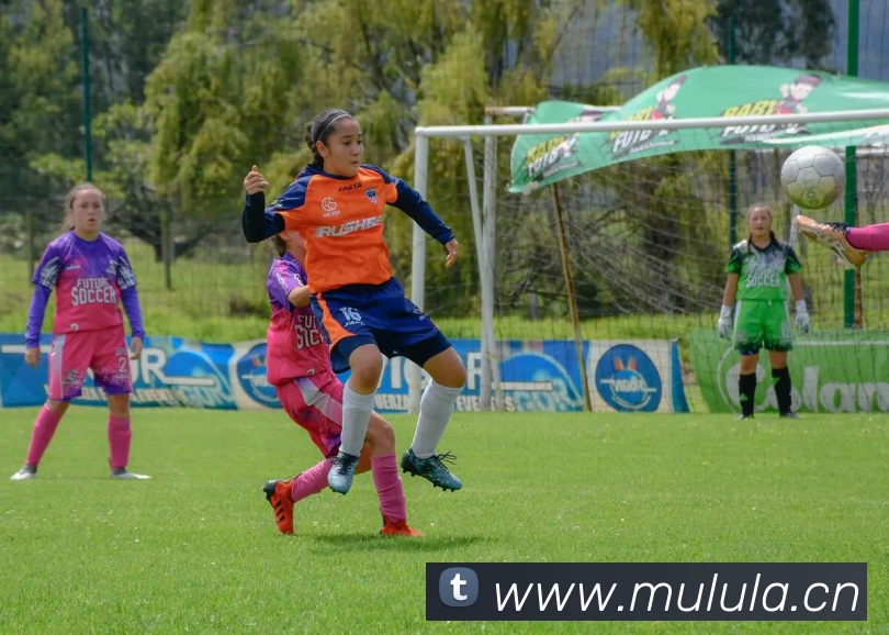 辅助工具 辅助工具